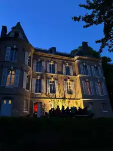 publiek bij Chateau by night.webp